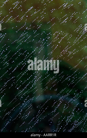 Raindroplets sur une fenêtre en verre. Banque D'Images