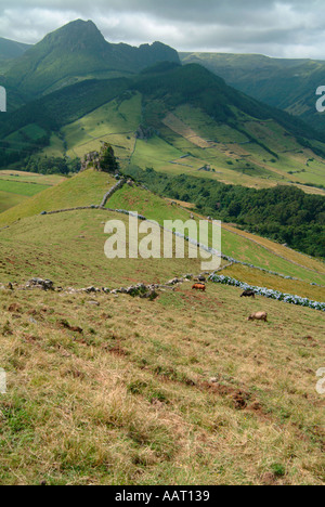 Une vue sur les terres agricoles et robuste sur les montagnes abruptes de l'île de Flores aux Açores, un groupe de l'île portugaise de l'océan Atlantique Banque D'Images