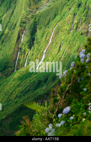 Vue des chutes d'eau sur l'île de Flores aux Açores Banque D'Images