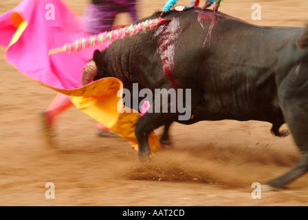 Un matador d'éviter l'accusation d'un taureau lors de la plantation Une autre bandeirilhas dans un taureau lors d'une corrida dans les Açores, Portugal Banque D'Images