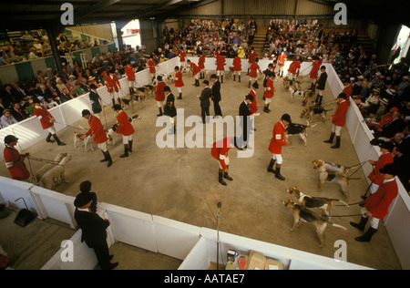 Foxhounds au Festival annuel de chasse Hound show East De l'exposition du comté d'Angleterre Peterborough Cambridgeshire Angleterre années 1980 HOMER britannique SYKES Banque D'Images