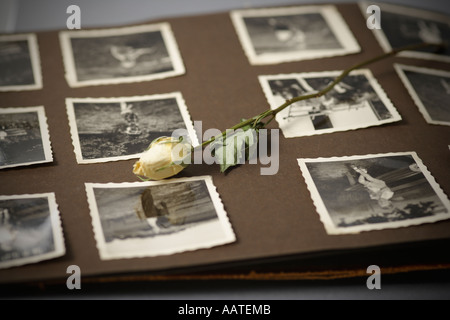 Rose séché sur l'ancien album de photographies avec des photographies en noir et blanc Banque D'Images