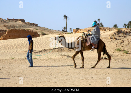 Guide bédouin dans l'habillement moderne conduit'monté sur un chameau dans le désert du sahara à Douz, Tunisie Banque D'Images