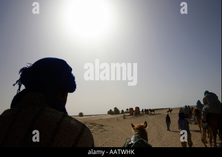 Un soleil qui plombe sur ligne de chameaux dans le désert du sahara à Douz, Tunisie Banque D'Images