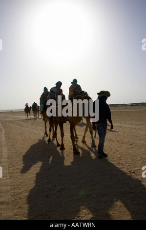 Les touristes sur sex en chameau dans le désert du sahara à Douz, Tunisie Banque D'Images