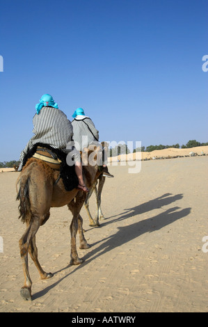 Deux touristes sur des chameaux dans le désert du sahara à Douz, Tunisie Banque D'Images