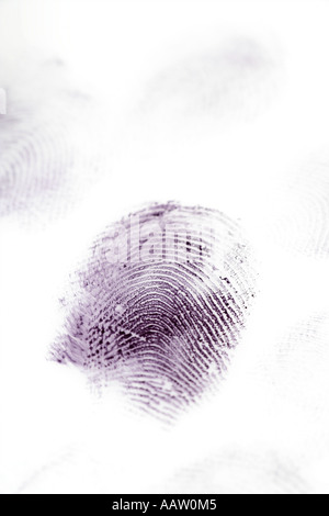 Les empreintes digitales sur fond blanc Banque D'Images