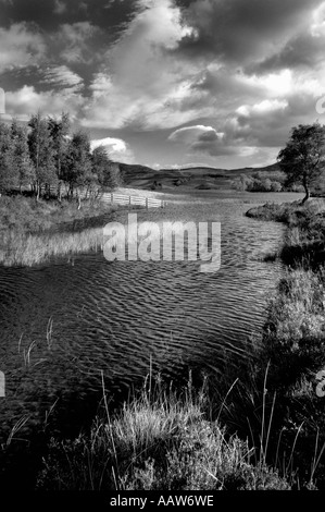 L'image monochrome à contraste élevé tranquille du Loch Tarff dans les highlands écossais Banque D'Images