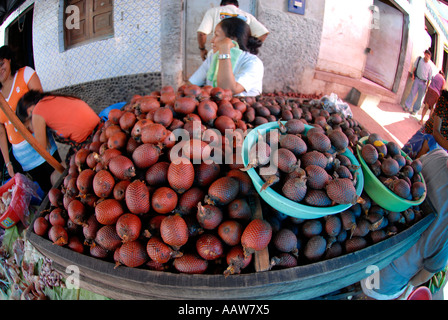 Palmier AGUAJE fruits de palmier BURITI ou marché de Belen, Iquitos, Pérou. Banque D'Images