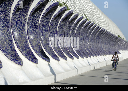 ESP, Valence, Espagne : Ciudad de las Artes y de las Ciencias, Cité des arts et de sience. Museo de las Ciencias Príncipe Felipe Banque D'Images