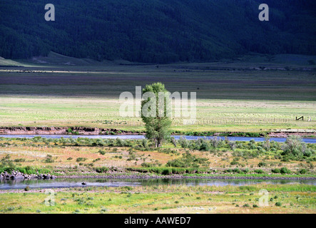 Bassin du Rio Grande Colorado près de la source du fleuve Rio Grande Banque D'Images