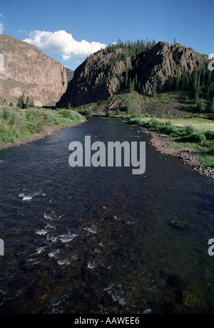 La Rio Grande River, près de sa source au Colorado Banque D'Images