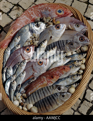 Assortiment de poissons frais dans un panier. sur une chaussée pavée, de l'Algarve, Portugal Banque D'Images