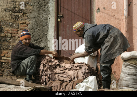 Les Tanneries de Marrakech, Maroc Banque D'Images