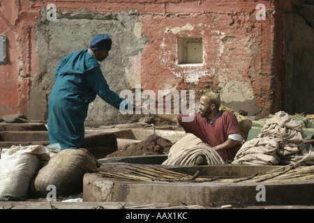 Les travailleurs dans les tanneries, Marrakech, Maroc Banque D'Images