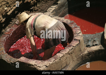 Un homme travaillant dans le bassin de la FES Tanneries, Maroc Banque D'Images