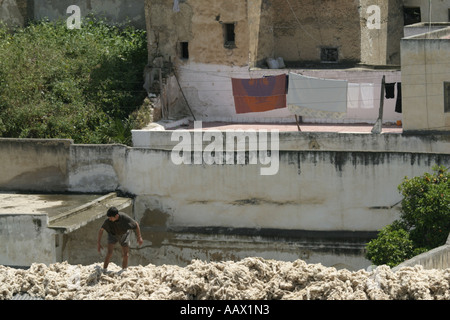 Les Tanneries de Fès, Maroc Banque D'Images