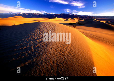 PDV-33 LE LEVER DU SOLEIL SUR LES DUNES DE SABLE Banque D'Images