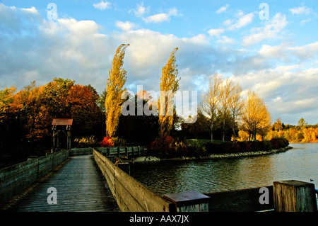 Bucher Stausee à Hauptbecken im Herbst Ostalbkreis Baden Württemberg Deutschland Banque D'Images