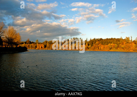 Bucher Stausee à Hauptbecken im Herbst Ostalbkreis Baden Württemberg Deutschland Banque D'Images