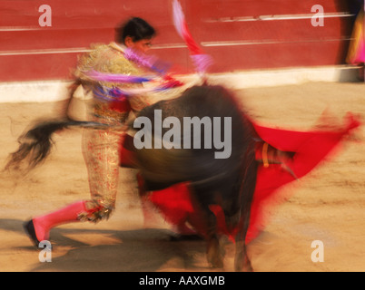 Bull et corne tout manque au cours de matador corrida Banque D'Images