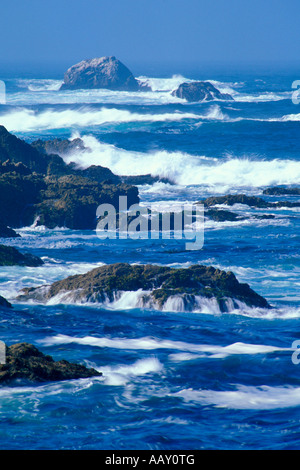 Les vagues se briser le long de 17 mile drive, Carmel en Californie et l'Océan Pacifique Banque D'Images