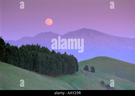 Pleine lune rouge sur le mont Diablo State Park vu de Tilden Park à Berkeley en Californie l'horizontale Banque D'Images