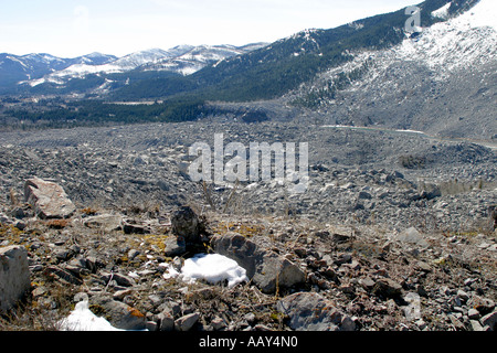 Rock slide, Crowsnest Pass, Frank Slide, Turtle Mountain, Alberta, Canada, Amérique du Nord. Banque D'Images