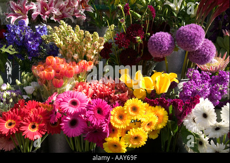 Assortiment de fleurs au stand de fleurs San Francisco California Banque D'Images