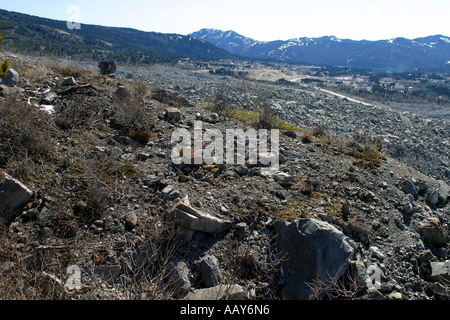 Rock slide, Crowsnest Pass, Frank Slide, Turtle Mountain, Alberta, Canada, Amérique du Nord. Banque D'Images