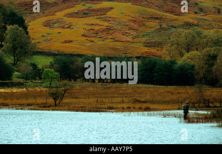 Watendlath Tarn le Lake District Cumbria England UK Banque D'Images