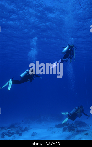 Trois plongeurs nageant dans les eaux bleues de Santa Rosa, l'île de Cozumel, au Mexique. Banque D'Images