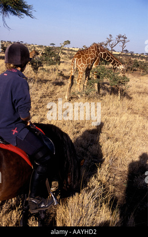 Un des cavaliers près de giraffe réticulée à Lewa Downs Kenya Afrique de l'Est Banque D'Images