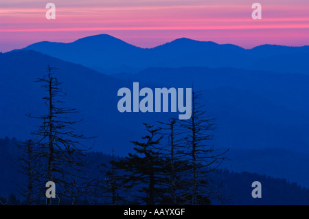 Lever du soleil montagne Clingmans Dome Great Smoky Mountains National Park en Caroline du Nord Banque D'Images
