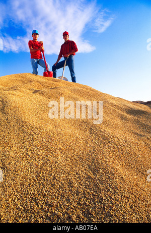 Agriculture - agriculteur et son fils se tenir au sommet d'une nouvelle réserve d'orge récoltés sur le terrain / Manitoba, Canada. Banque D'Images