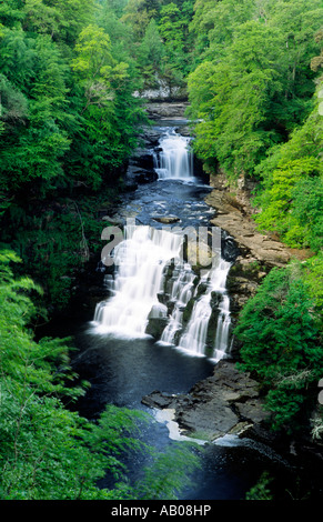 Falls of Clyde sur la rivière Clyde cascades Corra Linn près de New Lanark Lanarkshire Scotland UK Banque D'Images