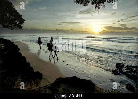 Les cavaliers sur une plage au coucher du soleil sur l'ouest de la Barbade Banque D'Images