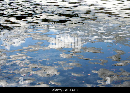 La fonte du printemps sur un lac en Bavière, Allemagne Banque D'Images