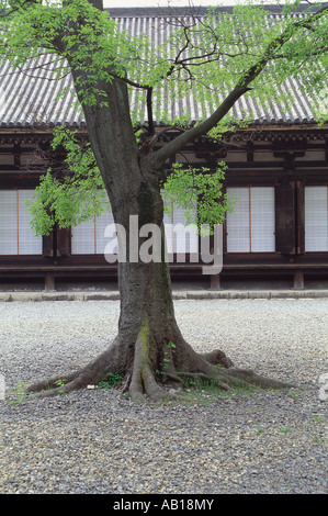 Temple Sanjusangen do préfecture de Kyoto au Japon Banque D'Images