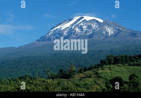 Les pentes sud du Kilimandjaro (5.895m). Vue du village Shimbwe, Tanzanie Banque D'Images