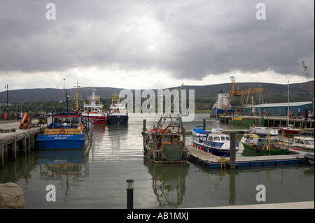 Bateaux de pêche dans le port de plaisance et Warrenpoint Carlingford Lough en Irlande du Nord la terre visible est la république de l'Irlande à quelques centaines de mètres Banque D'Images