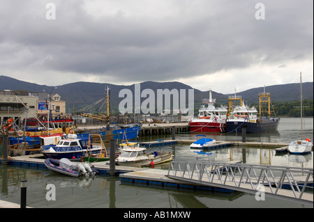 Halage de bateaux de pêche et de plaisance dans London marina et le port sur le Carlingford Lough Banque D'Images