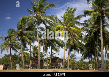 Cabines de plage au milieu des palmiers Plage d'Agonda calme sud de Goa Inde Banque D'Images