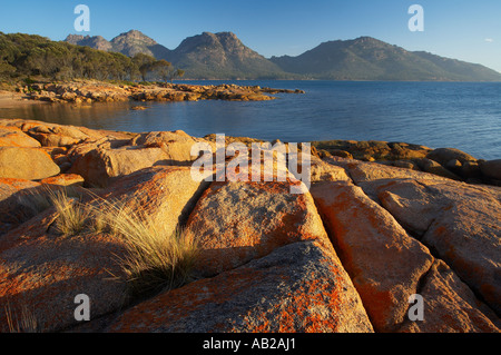 Lichen sur les roches rouges à Coles Bay les dangers au-delà de la Péninsule de Freycinet Parc national de Freycinet Tasmanie Australie Banque D'Images