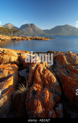 Lichen sur les roches rouges à Coles Bay les dangers au-delà de la Péninsule de Freycinet Parc national de Freycinet Tasmanie Australie Banque D'Images