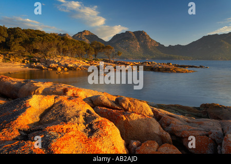 Lichen sur les roches rouges à Coles Bay les dangers au-delà de la Péninsule de Freycinet Parc national de Freycinet Tasmanie Australie Banque D'Images