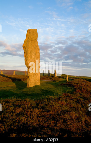 Anneau de dh néolithique des Orcades SHETLANDS standing stone henge cercle avec les touristes à la recherche de pierres précieuses Banque D'Images