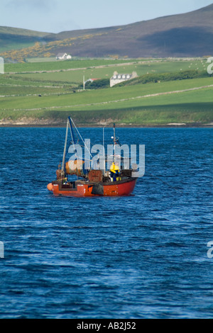 Dh Swanbister Bay ORKNEY Scapa Flow Homard Crabe fishermens boat fisherman en relevant la nasse Banque D'Images