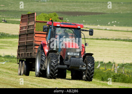 dh STROMNESS AREA ORKNEY Silage tracteur herbe remorque alimentation d'hiver machines agricoles de récolte agricole britannique récolte champ au royaume-uni Banque D'Images