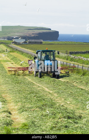 La récolte dh UK râtelage du tracteur pour la récolte de l'herbe d'ensilage alimentation mouettes Sandwick Orkney Banque D'Images